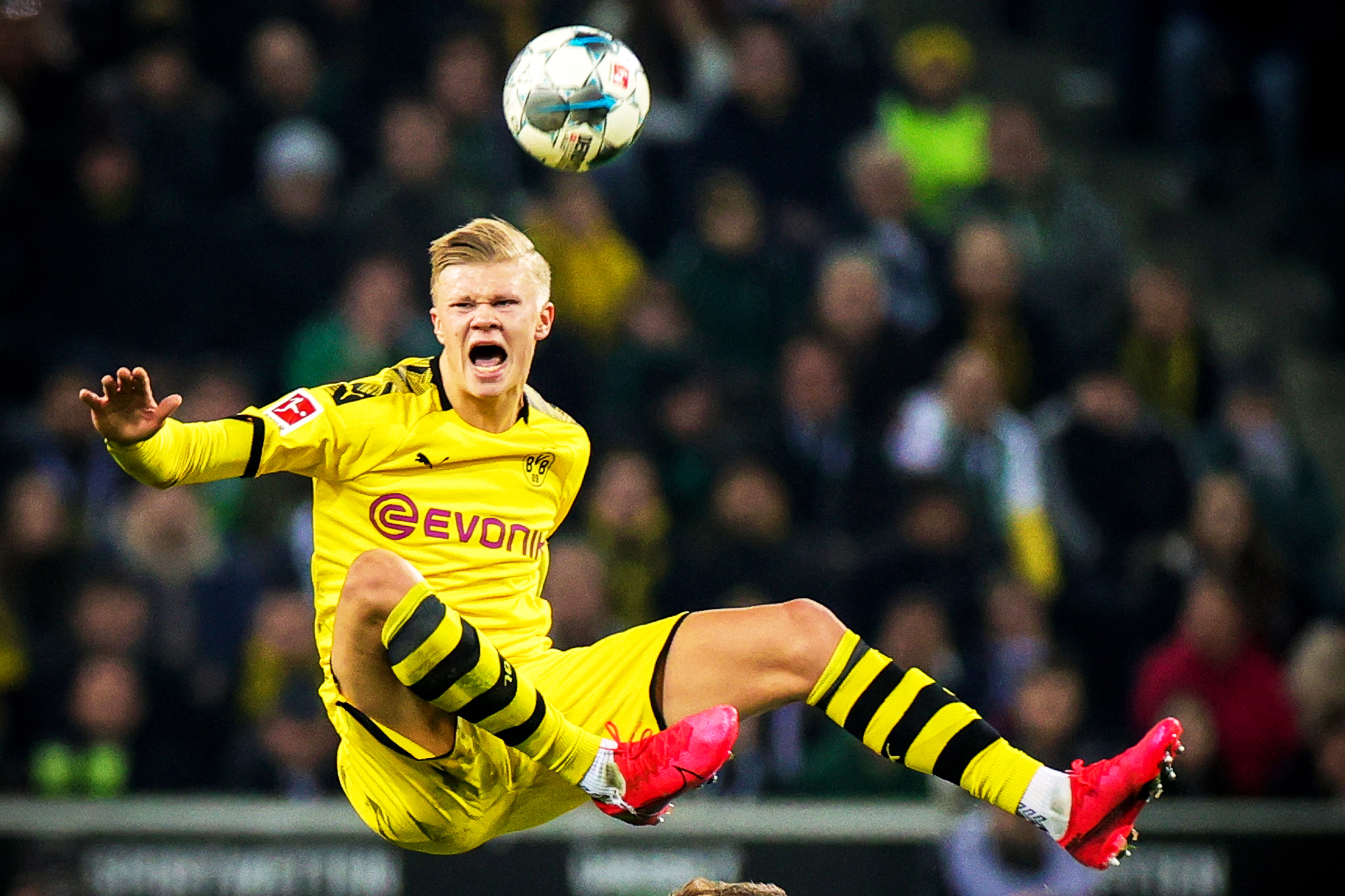 沪媒：波耶特从全北辞职后或重返中国，对执教中超持开放态度（沪媒：波耶特辞去全北主帅后或回归中国，愿考虑执教中超）